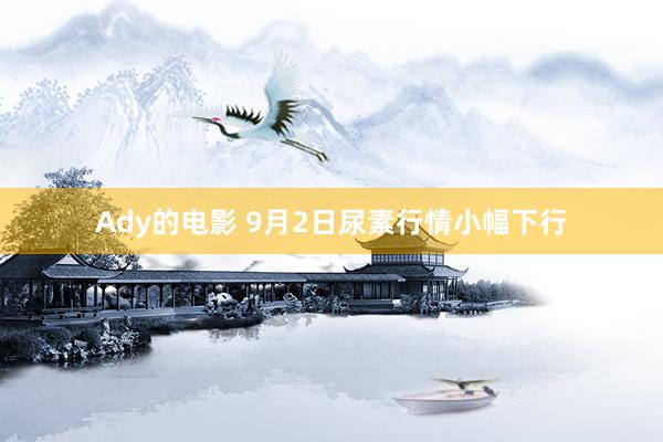 Ady的电影 9月2日尿素行情小幅下行