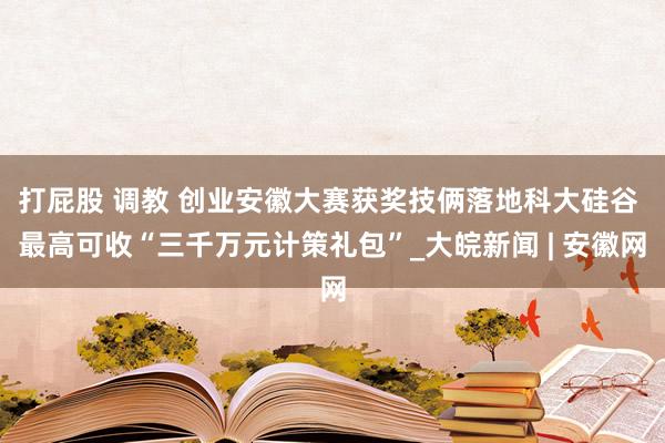 打屁股 调教 创业安徽大赛获奖技俩落地科大硅谷 最高可收“三千万元计策礼包”_大皖新闻 | 安徽网