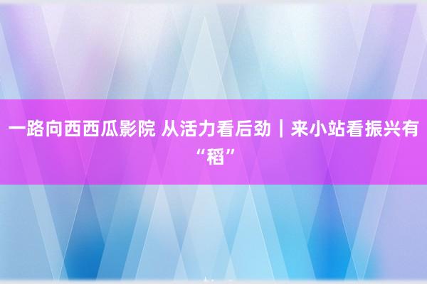 一路向西西瓜影院 从活力看后劲｜来小站看振兴有“稻”