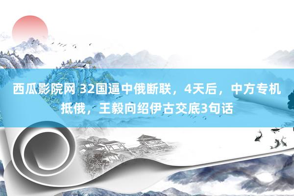 西瓜影院网 32国逼中俄断联，4天后，中方专机抵俄，王毅向绍伊古交底3句话