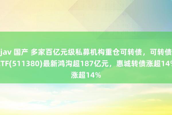 jav 国产 多家百亿元级私募机构重仓可转债，可转债ETF(511380)最新鸿沟超187亿元，惠城转债涨超14%