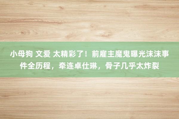 小母狗 文爱 太精彩了！前雇主魔鬼曝光沫沫事件全历程，牵连卓仕琳，骨子几乎太炸裂