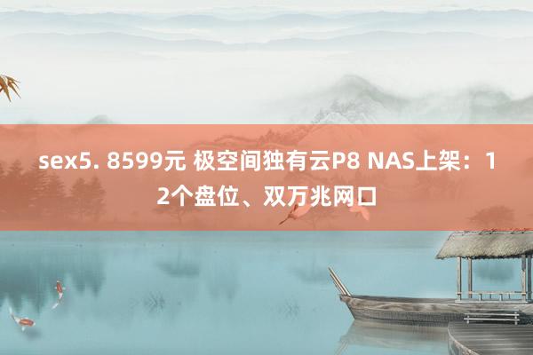 sex5. 8599元 极空间独有云P8 NAS上架：12个盘位、双万兆网口