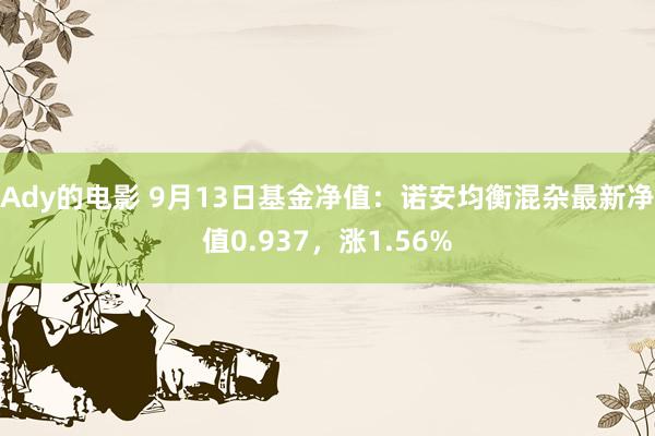 Ady的电影 9月13日基金净值：诺安均衡混杂最新净值0.937，涨1.56%