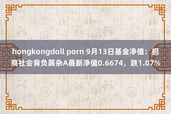 hongkongdoll porn 9月13日基金净值：招商社会背负羼杂A最新净值0.6674，跌1.07%