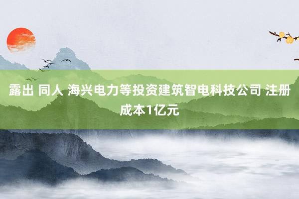 露出 同人 海兴电力等投资建筑智电科技公司 注册成本1亿元