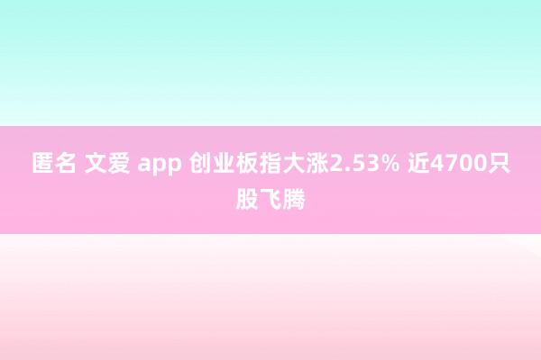 匿名 文爱 app 创业板指大涨2.53% 近4700只股飞腾