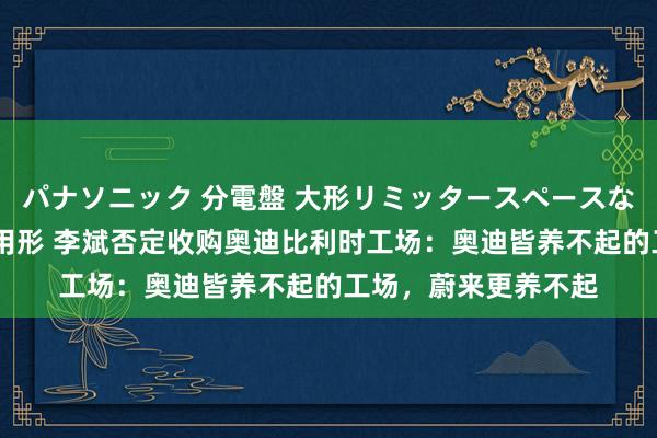 パナソニック 分電盤 大形リミッタースペースなし 露出・半埋込両用形 李斌否定收购奥迪比利时工场：奥迪皆养不起的工场，蔚来更养不起