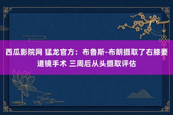 西瓜影院网 猛龙官方：布鲁斯-布朗摄取了右膝要道镜手术 三周后从头摄取评估