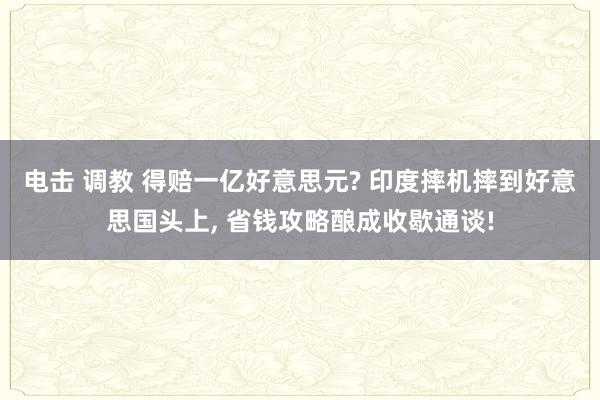 电击 调教 得赔一亿好意思元? 印度摔机摔到好意思国头上， 省钱攻略酿成收歇通谈!