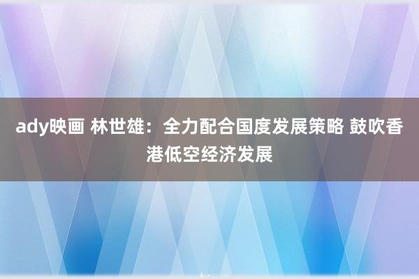 ady映画 林世雄：全力配合国度发展策略 鼓吹香港低空经济发展