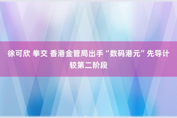 徐可欣 拳交 香港金管局出手“数码港元”先导计较第二阶段