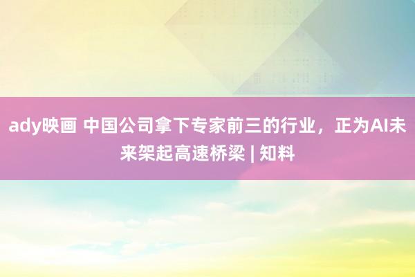 ady映画 中国公司拿下专家前三的行业，正为AI未来架起高速桥梁 | 知料