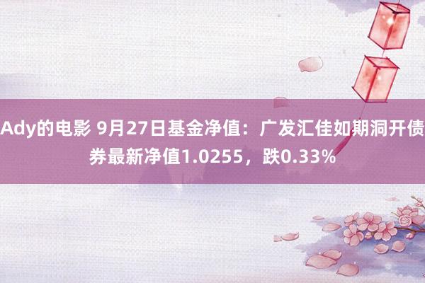 Ady的电影 9月27日基金净值：广发汇佳如期洞开债券最新净值1.0255，跌0.33%