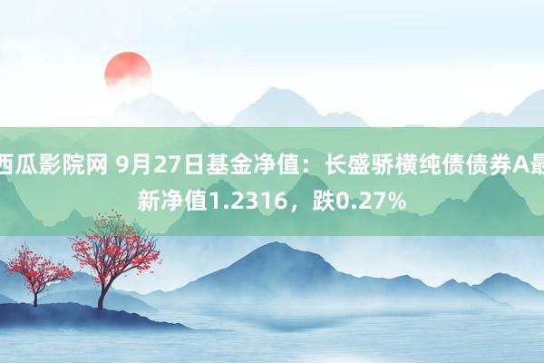 西瓜影院网 9月27日基金净值：长盛骄横纯债债券A最新净值1.2316，跌0.27%