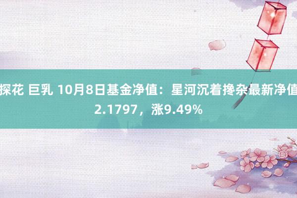 探花 巨乳 10月8日基金净值：星河沉着搀杂最新净值2.1797，涨9.49%