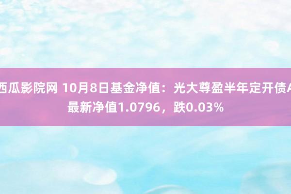 西瓜影院网 10月8日基金净值：光大尊盈半年定开债A最新净值1.0796，跌0.03%