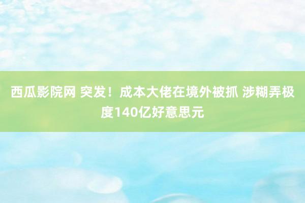 西瓜影院网 突发！成本大佬在境外被抓 涉糊弄极度140亿好意思元