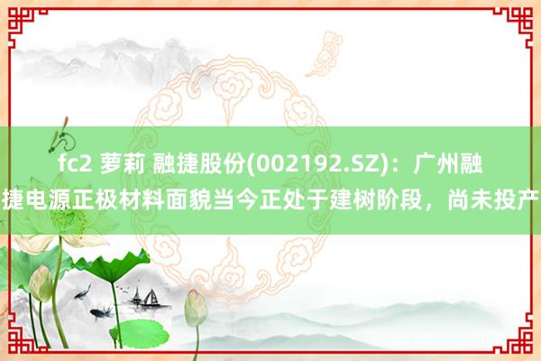 fc2 萝莉 融捷股份(002192.SZ)：广州融捷电源正极材料面貌当今正处于建树阶段，尚未投产