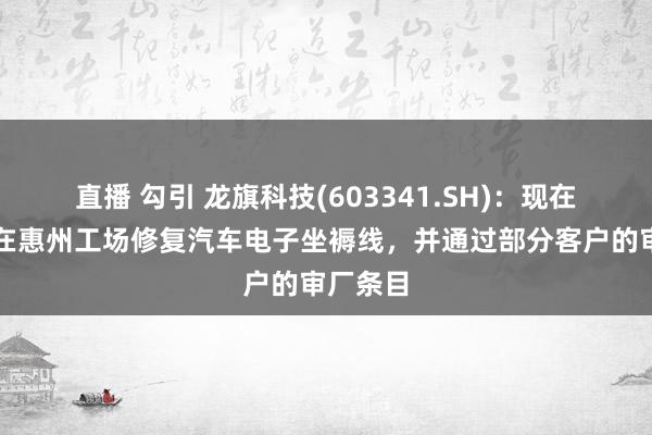 直播 勾引 龙旗科技(603341.SH)：现在公司已在惠州工场修复汽车电子坐褥线，并通过部分客户的审厂条目