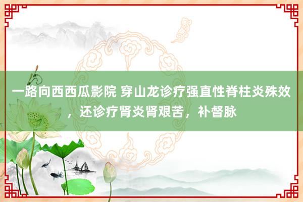 一路向西西瓜影院 穿山龙诊疗强直性脊柱炎殊效，还诊疗肾炎肾艰苦，补督脉