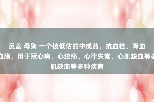 反差 母狗 一个被低估的中成药，抗血栓、降血压、降血脂，用于冠心病、心绞痛、心律失常、心肌缺血等多种疾病