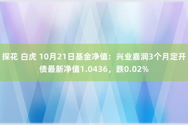 探花 白虎 10月21日基金净值：兴业嘉润3个月定开债最新净值1.0436，跌0.02%