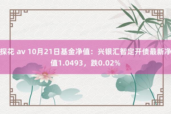 探花 av 10月21日基金净值：兴银汇智定开债最新净值1.0493，跌0.02%