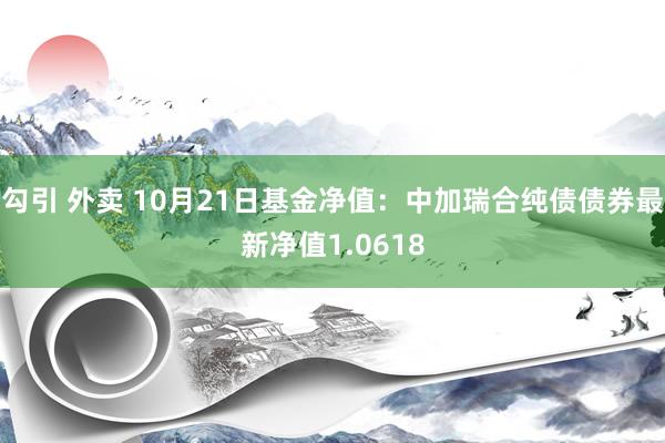 勾引 外卖 10月21日基金净值：中加瑞合纯债债券最新净值1.0618