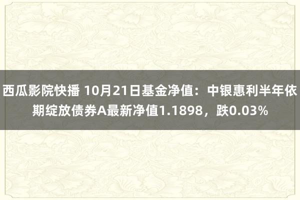 西瓜影院快播 10月21日基金净值：中银惠利半年依期绽放债券A最新净值1.1898，跌0.03%