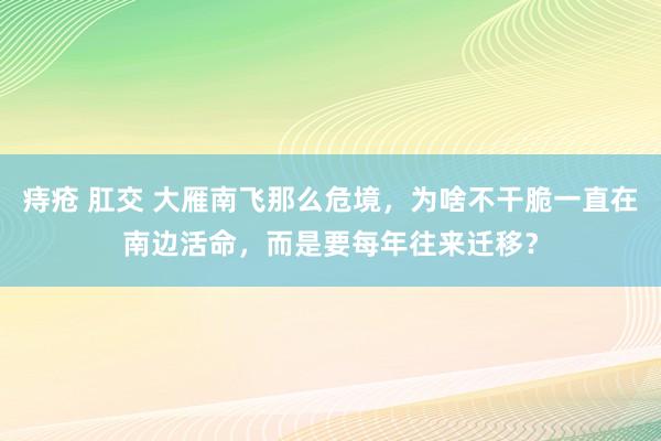 痔疮 肛交 大雁南飞那么危境，为啥不干脆一直在南边活命，而是要每年往来迁移？