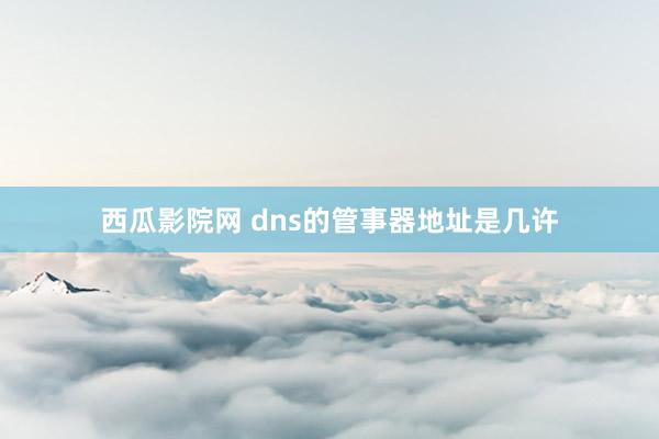 西瓜影院网 dns的管事器地址是几许