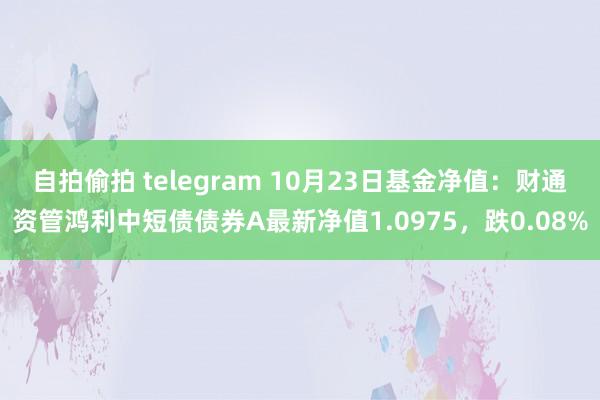 自拍偷拍 telegram 10月23日基金净值：财通资管鸿利中短债债券A最新净值1.0975，跌0.08%