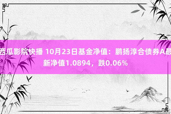 西瓜影院快播 10月23日基金净值：鹏扬淳合债券A最新净值1.0894，跌0.06%