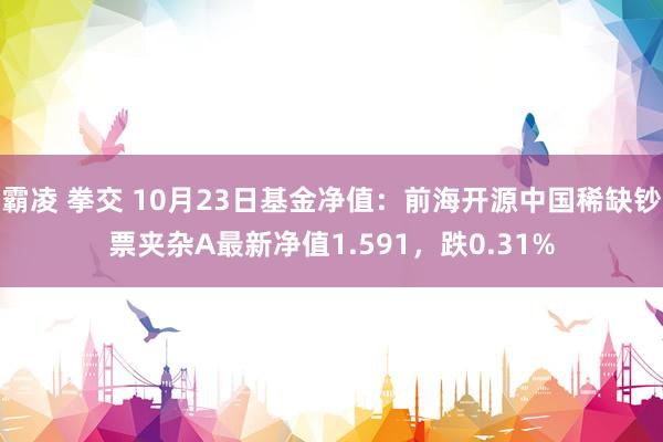 霸凌 拳交 10月23日基金净值：前海开源中国稀缺钞票夹杂A最新净值1.591，跌0.31%