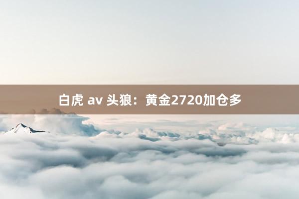 白虎 av 头狼：黄金2720加仓多