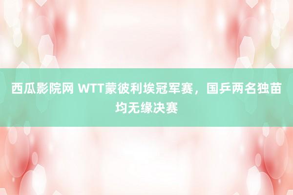 西瓜影院网 WTT蒙彼利埃冠军赛，国乒两名独苗均无缘决赛