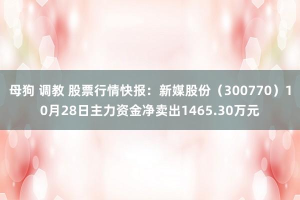 母狗 调教 股票行情快报：新媒股份（300770）10月28日主力资金净卖出1465.30万元