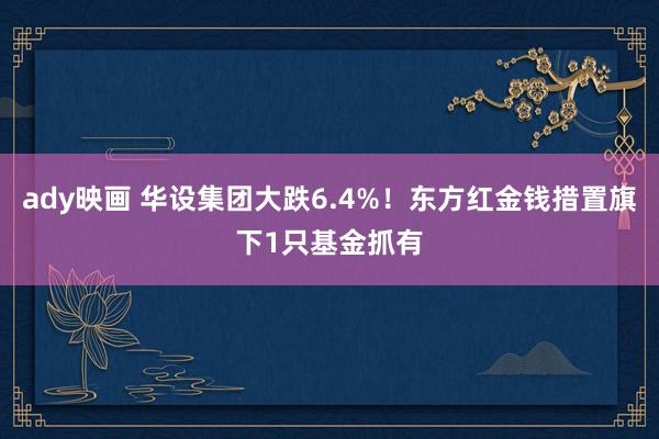 ady映画 华设集团大跌6.4%！东方红金钱措置旗下1只基金抓有