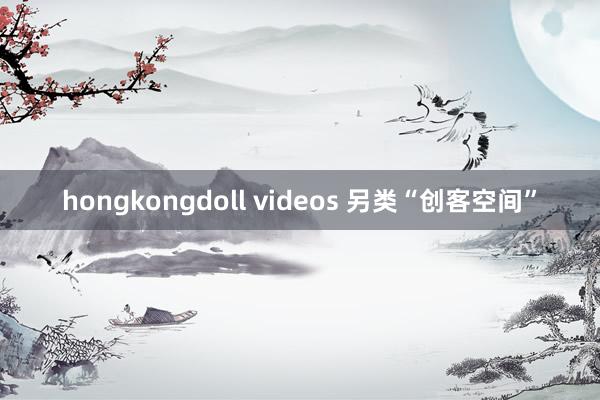 hongkongdoll videos 另类“创客空间”