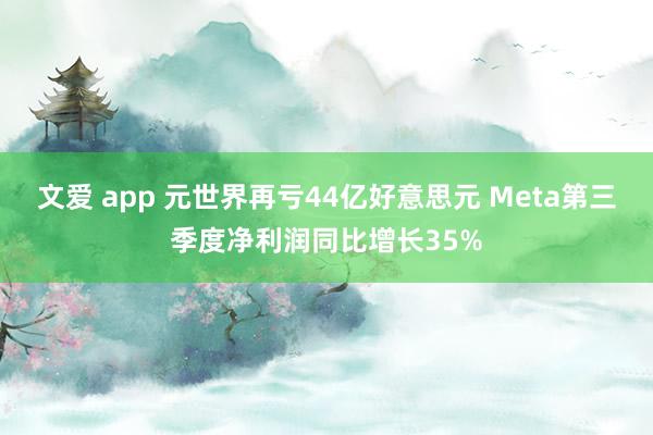 文爱 app 元世界再亏44亿好意思元 Meta第三季度净利润同比增长35%