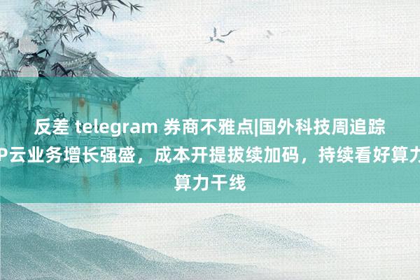 反差 telegram 券商不雅点|国外科技周追踪：CSP云业务增长强盛，成本开提拔续加码，持续看好算力干线