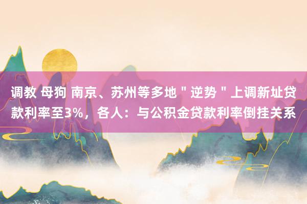 调教 母狗 南京、苏州等多地＂逆势＂上调新址贷款利率至3%，各人：与公积金贷款利率倒挂关系