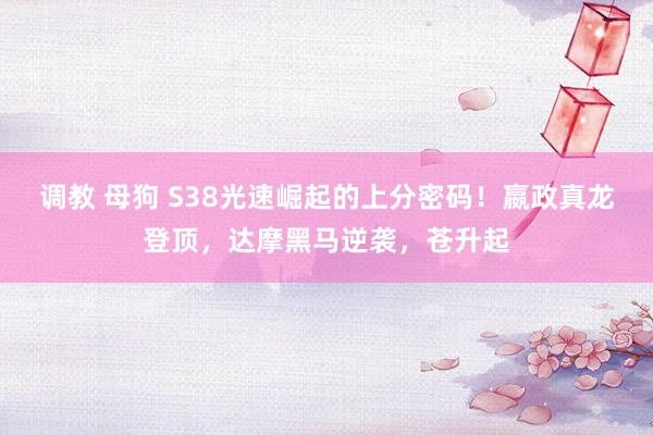 调教 母狗 S38光速崛起的上分密码！嬴政真龙登顶，达摩黑马逆袭，苍升起