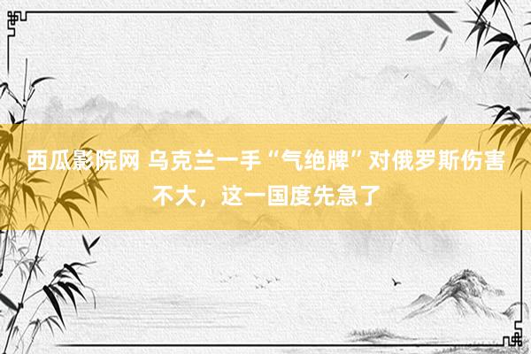 西瓜影院网 乌克兰一手“气绝牌”对俄罗斯伤害不大，这一国度先急了