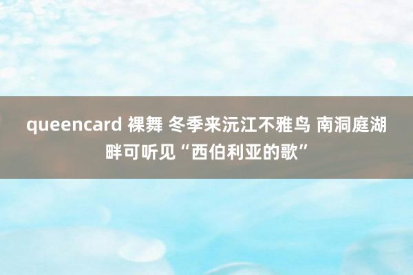 queencard 裸舞 冬季来沅江不雅鸟 南洞庭湖畔可听见“西伯利亚的歌”