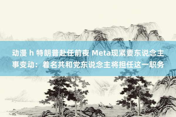 动漫 h 特朗普赴任前夜 Meta现紧要东说念主事变动：着名共和党东说念主将担任这一职务