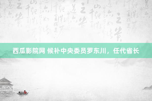 西瓜影院网 候补中央委员罗东川，任代省长