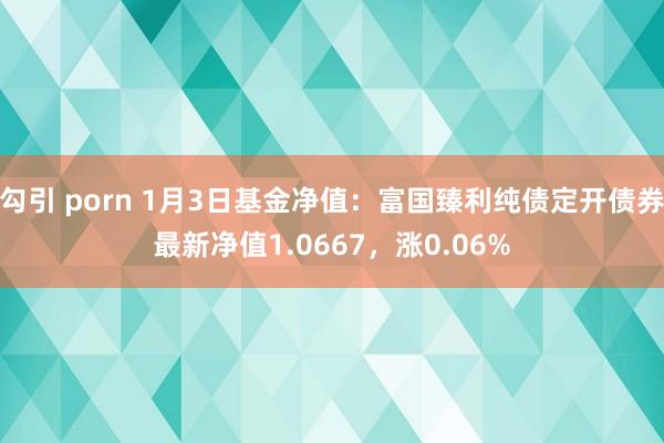 勾引 porn 1月3日基金净值：富国臻利纯债定开债券最新净值1.0667，涨0.06%