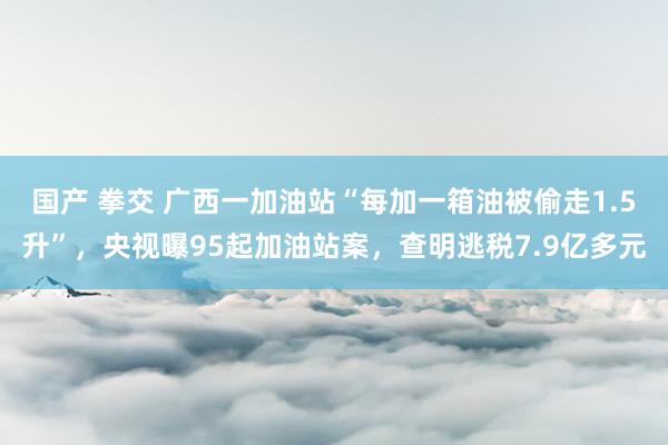 国产 拳交 广西一加油站“每加一箱油被偷走1.5升”，央视曝95起加油站案，查明逃税7.9亿多元